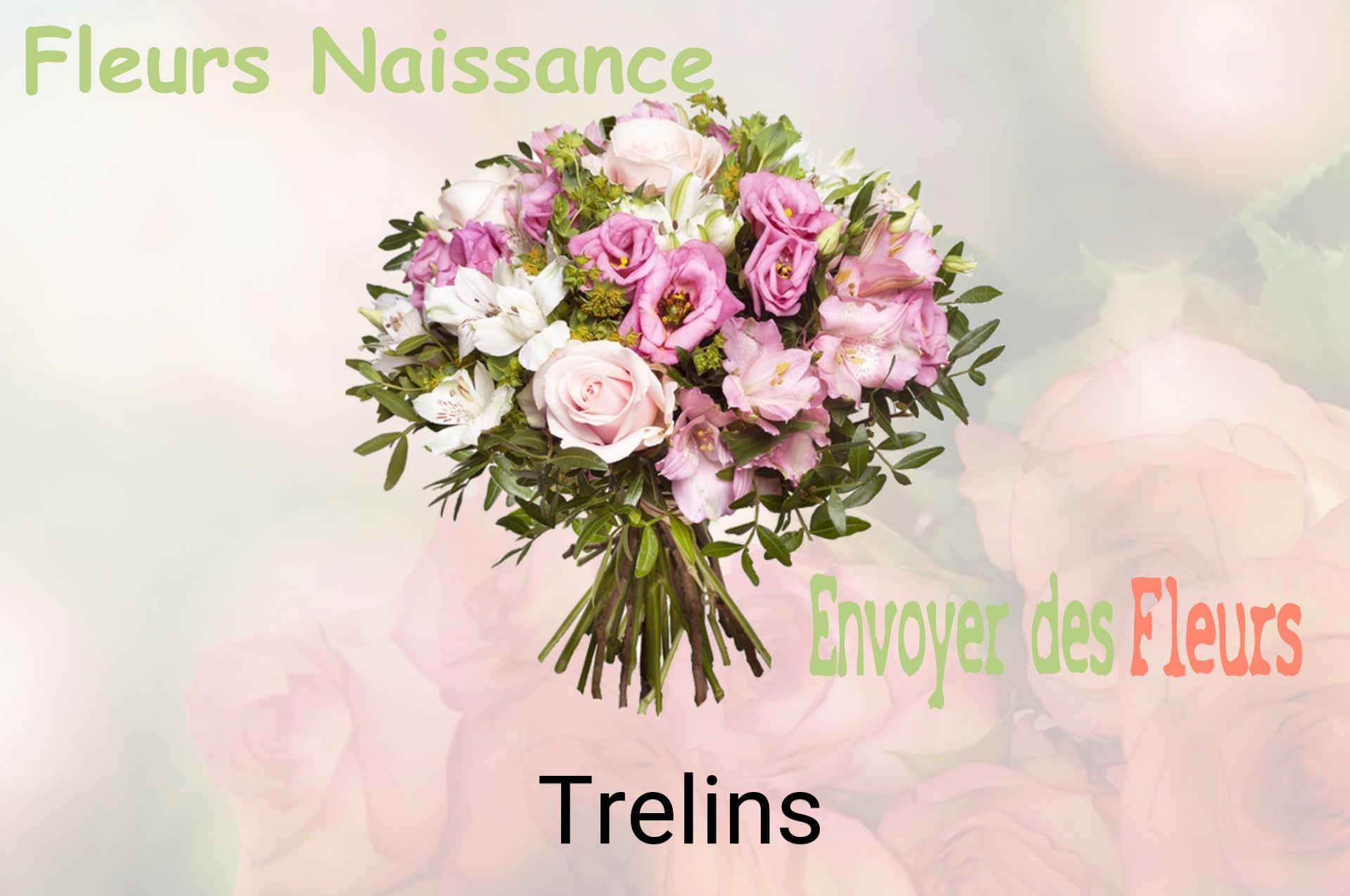 Bouquet de fleurs de naissance livré à Trelins
